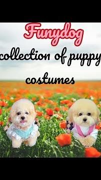 collection of puppy costumes