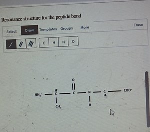 Resonance structure for the peptide bond... | Filo
