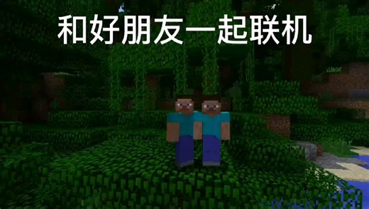 HMCL离线模式联机教程