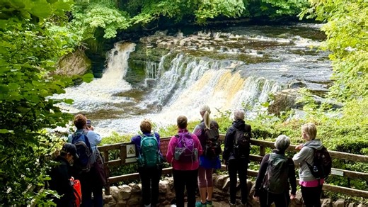 Paul Beal on Instagram: "😊 AYSGARTH FALLS WALK: FAMILY-FRIENDLY CIRCULAR ROUTE WITH NEW PDF GUIDE 🌄 This circular walk begins at the car park on Church Bank, just off the A684 beside the Aysgarth Falls Hotel. From here, the route passes St Andrew’s Church and the historic Yore Mill, crosses Yore Bridge, and takes in the Upper, Middle, and Lower Falls before continuing through Freeholders’ Wood and St Joseph’s Wood. It then passes Hollins House and loops back via the visitor centre for a scenic