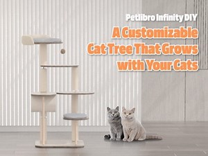 Petlibro Infinity modular cat tree can be tailored to your cat's personality