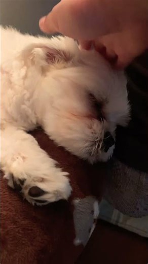 🤍🤍🤍🤍🤍🤍🤍🤍🤍🤍🤍🤍🤍🤍🤍🖤🤍🤍🤍🤍🖤🤍🤍🤍🤍🤍🤍🤍🖤🖤🖤🖤🤍🤍🤍🤍🤍🤍🤍🤍🤍🖤🖤🤍🤍🤍🤍🤍