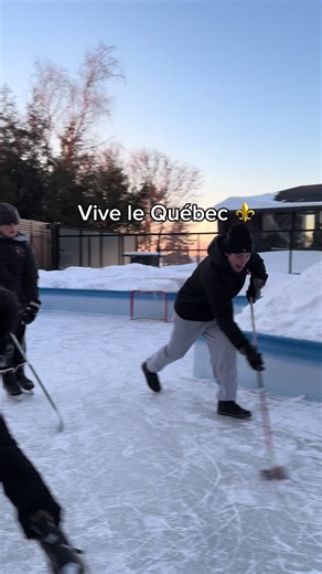 Vive le Québec⚜️🏒🥅🤙💪🔥🤘😛 #qc #fyp #hockey