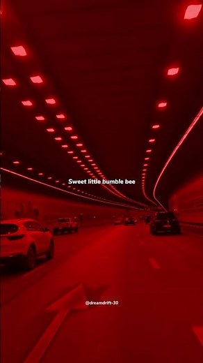 Bumble Bee - Bambee | lyrics | aesthetic | english songs | Slowed | whatsapp status | speed up |edit