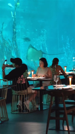 822K views · 4.1K reactions | Underwater dining experience in Cebu!  Aquadining by Cebu Ocean Park #Underwater #Cebu #ForYou | Lumad Cebuano | Facebook