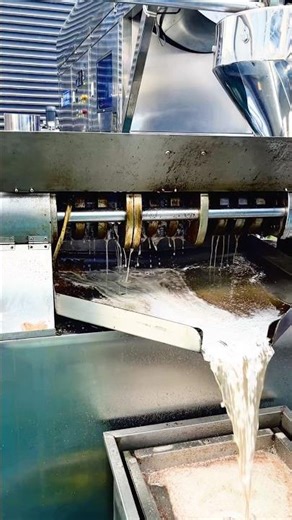 6YL-131 screw oil press machine to extract peanut oil in workshop#oilpress #machine #factory #peanut