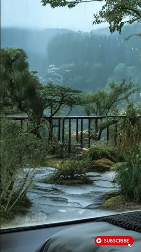 Nothing Happens. Just Rain. And That's Enough 12 Hours Rain Sounds for Sleeping