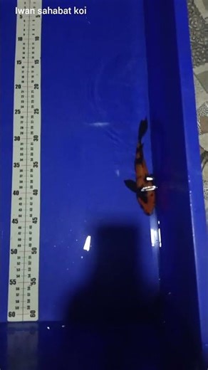 START KEEPING 16CM