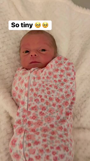 It’s hard to believe that she used to be so itty bitty 🥺🥺 #tinybutmighty #tinybaby #socute #swaddle #babyswaddle #swaddleme #babygirl #fgr #nicustrong #5lbs #newbornbaby #newbaby #bestfriend #cutestgirl #daughter #iloveyousomuch #infant #newborn #littlebaby #bald #cute #flowers #tired #sleepy #newbornsleep #follow #foryou #followers #following #fyp #babiesofinstagram #babiesoftiktok #momlife #momssupportingmoms #growthmindset #growwithus #throwback | Everlyjade629