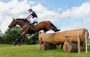How using cavalletti can improve your horse in dressage and jumping - Horse & Hound