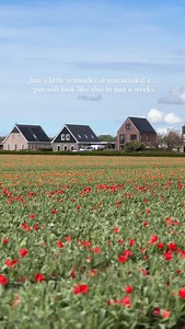 2.8K views · 32 reactions | The countdown to longer, lighter evenings...