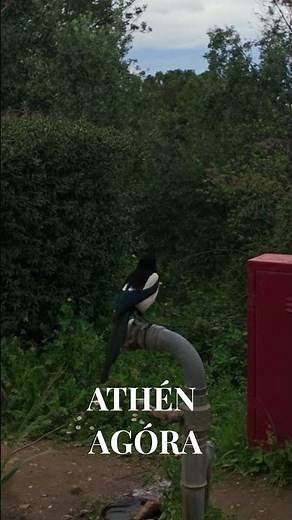 Az egyik KEDVENC helyünk Athénban! Ókori Agóra #athén #görögország #utazás #agora