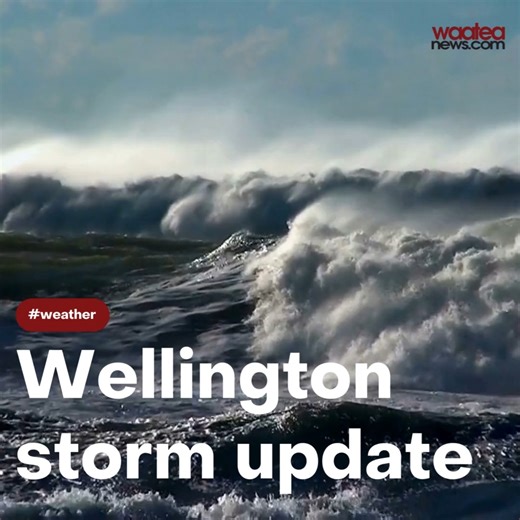 Wellington City Council storm update – 11.30am MetService has issued a ‘red’ wind warning due to the very high wind gusts affecting the Werllington region today. Wellingtonians are advised to stay indoors if possible and take extra care if travelling due to the conditions. Wellington City Council is aware of multiple trees that have blown down across the city this morning. Moa Point Road has been closed due to waves and debris covering the roadway. Motorists are also advised to avoid all roads o