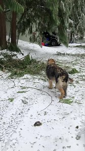 35K views · 2.4K reactions | We are now in hotel rooms to get our...