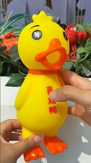 Squeaky Duck Toys: Fun Sound When Squeeze Them