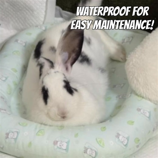 MOMOLUV FUNDRAISER - CLOUD PILLOW ☁️ Introducing Momoluv Cloud Pillow – the ultimate comfort for your bunny! Handmade with love, this cozy pillow creates a secure resting space your rabbit will adore. Designed with a firm raised brim for head and body support, and crafted from waterproof, scratch-resistant fabric, it’s both durable and stylish. The cooling, smooth surface keeps your bunny comfy all day long! Available in various designs and sizes to suit every bunny’s style. 🛒Preorder now: http