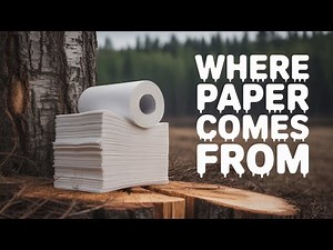 How Paper is Made | Fun & Educational Video for Kids