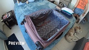 1.5K views · 172 reactions | Everything we own must fit in our tangerine-colored Prius C—including Laska! What's important enough to make the cut? In a few weeks, we'll be releasing a video showing you EVERYTHING we own in this world...not just clothes and shoes lol. What do you think? Are you interested in seeing the full video? | Tangerine Travels | Facebook