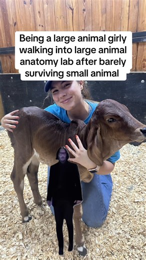 Exciting Journey as a Large Animal Vet Student