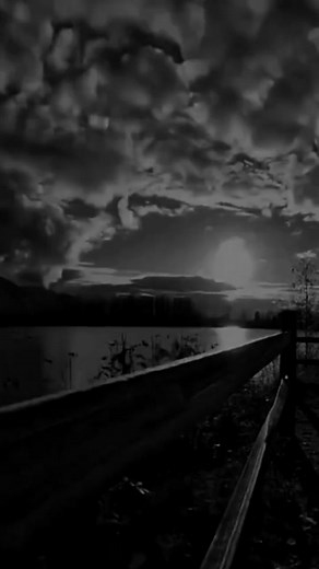 Exploring Nature's Beauty in Black and White Scenes