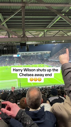 They only piped up after they scored anyway #fulham #chelsea #ffc #fulhamfans #fulhamfc