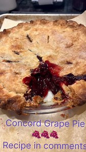 Concord Grape Pie Recipe Ingredients: - 5 1/2 cups ripe Concord grapes - 1 cup sugar - 3 tablespoons cook-type Clear Jel thickener - 2 tablespoons butter - Pastry crust (top and bottom) Directions: 1. Rinse the grapes and pat them dry so there is not too much liquid on them. 2. Remove the stems and discard any grapes that are unripe, green, hard, rotten, or moldy. 3. Separate the skins from the pulp. Do not squeeze the skins completely dry; leave a little juice under the skin or the filling will