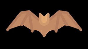 Bat Animated Icon. With Transparent Background