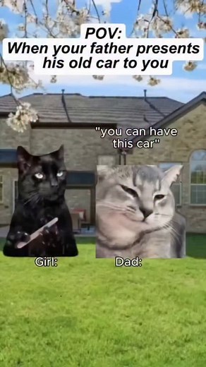 1K views · 2.6K reactions | When father presents his old car | Catmemesofficial2 | Facebook