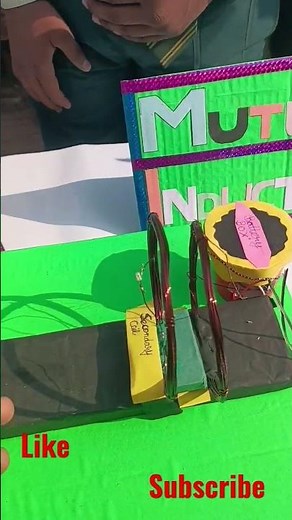 Mutual induction (working model). {physics}