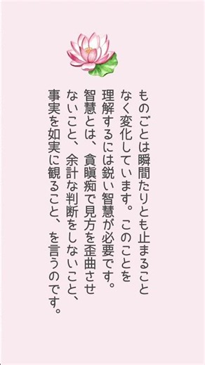 事実をありのままに観る「智慧」②