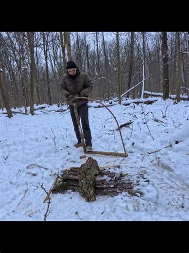 Surviving Winter: Building Shelter Under Tree Roots