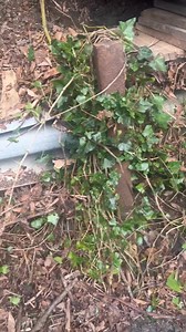 #MobileLegendsBangBang | Combs mobile home mover’s