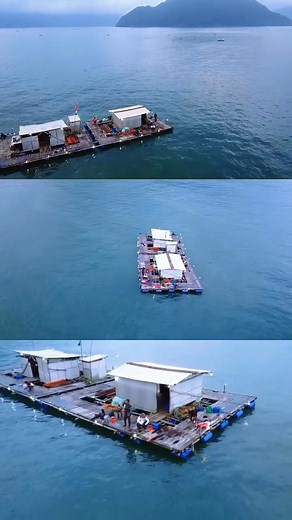 Penampakan spot paling eksklusif, Duduk Ngopi sambil nonton tik tok bawa bantal guling sekaligus penggorengan Muhammad Royan 😁😁🎣🎣🎣 #mancing #vod #reels #video #jangkauanLuas | Didix Aran Ku