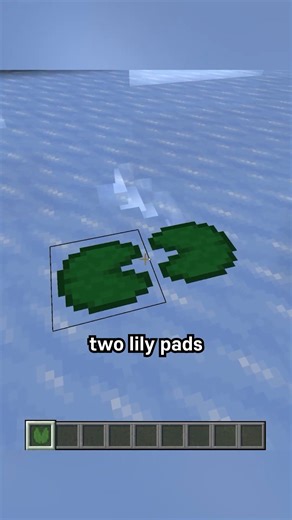 21K views · 150 reactions | lily pad NOT #minecraftbuilds #minecraft #minecraftmemes #minecraftpe #minecraftmods | Wealthy cook | Facebook