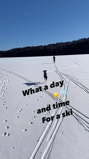 Andrea Henkel Biathlon on Reels