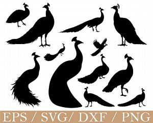 Peacock Svg, Peacock Silhouette, Dxf, Png - Etsy