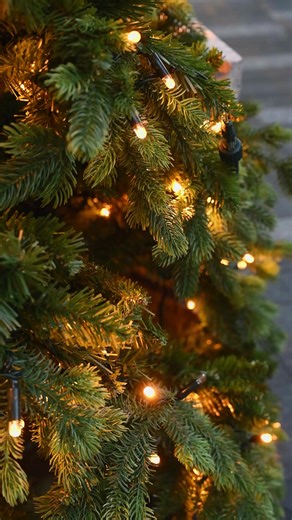 December 4th of our 12 Days of Christmas 🎄 Today’s star: the Bully Tools Post Hole Digger – built for real fence lines, not flimsy weekend projects. Heavy-duty, American-made, and ready to chew through tough ground so you can set posts once and done. Get 15% off with promo code: 12Days ⏰ Offer ends Dec 12 at midnight 👉 Shop now at https://bit.ly/4hIxTkq #BullyTools #12DaysOfChristmas #PostHoleDigger #MadeInUSA #FenceBuilding #DIY #ContractorGrade #YardWork