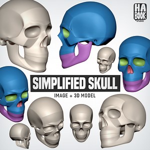 HABOOK Simplified Skull