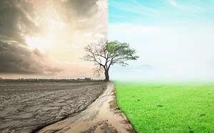 20 PROBLEMAS MEDIOAMBIENTALES y soluciones posibles