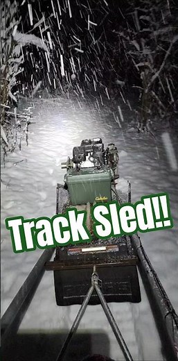 Checking for critter tracks on my track sled (snow dog) ❄️