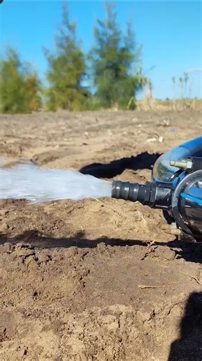 Explora BalliBotMogis: La Revolución de la IA