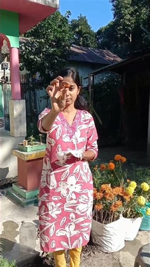 100% success! Will almonds really grow into trees?🌱#shorts#almond tree#gardening#youtube#viral vi...