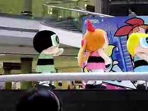 Powerpuff Girls Show