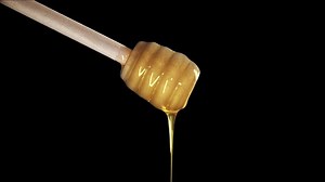 Honey dripping from honey dipper with alpha channel