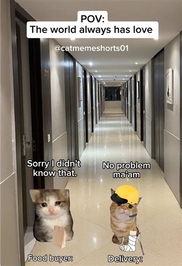 Heartwarming Cat Memes to Brighten Your Day