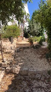 Nerium oleander!!! | Rob Verlinden