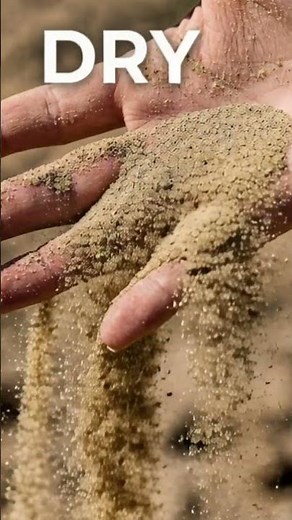 Wet vs Dry 💧🌵 | Easy Opposites for Kids