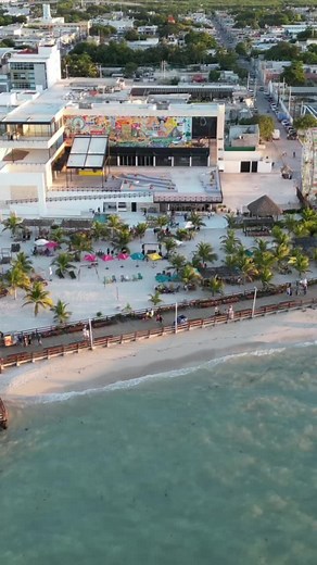 𝘽𝙞𝙚𝙣𝙫𝙚𝙣𝙞𝙙𝙤𝙨 𝙖𝙡 𝙥𝙖𝙧𝙖𝙞́𝙨𝙤 🌊🐚🌴☀️🐬 Beach Club & Restaurante. ✨ Horario de Lunes a Domingo 11:00 am 7:00 pm. ✨ Pregunta por nuestras promociones y Day Pass al 📲(999) 433 4218 📍 Estamos ubicados a un costado del muelle internacional de chocolate. . . . . . #beach #playa #vacaciones #summer #verano #fyp #f #beachclub #parais #parati #viral #daypass #party #progreso #yucatan #mexico🇲🇽