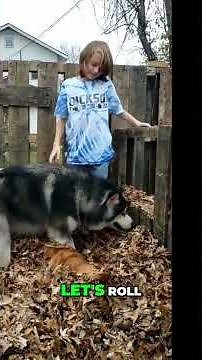 Hilarious SpongeBob Moments That Will Make You LOL! 😂🍕