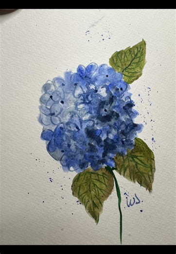 Practicing hydrangeas 💙#watercolor #easywatercolor #hygrangeas | water color